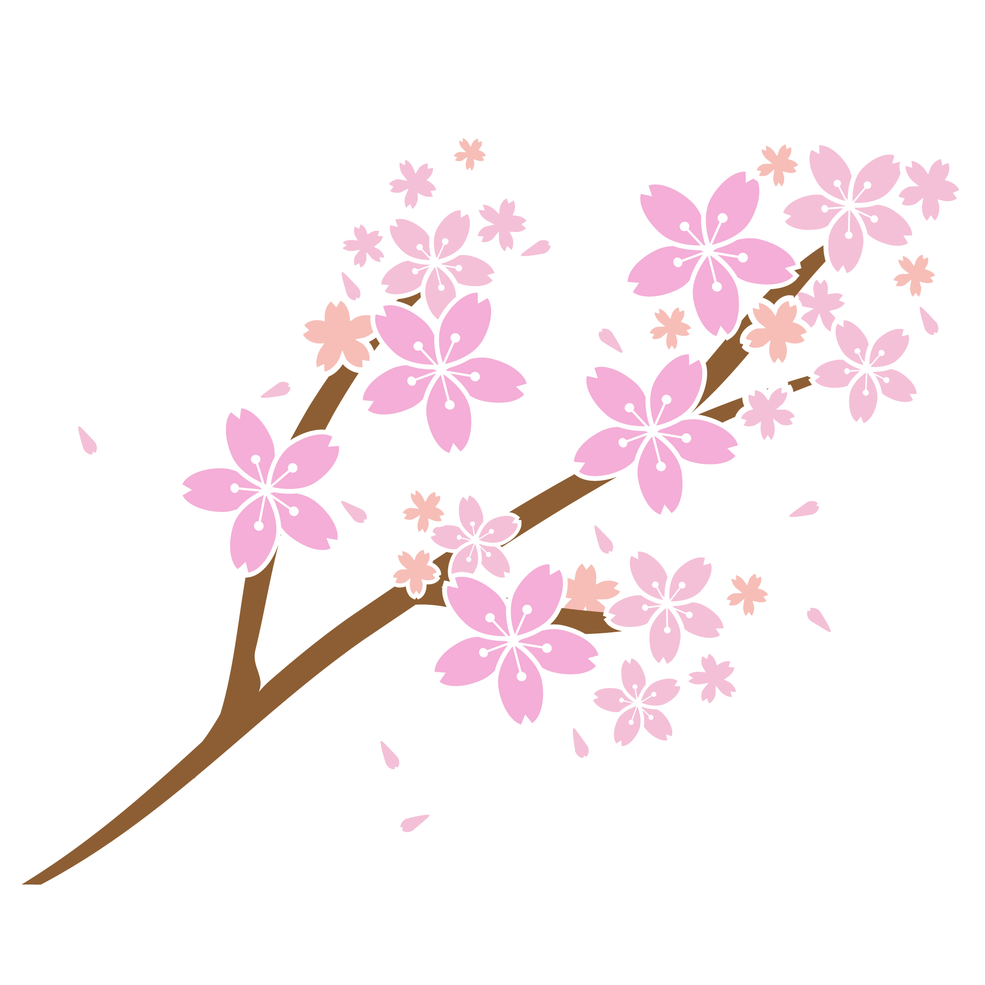 桜の花びらが散る桜の枝 Ziu Illustration